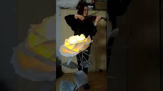 Skrzypce na ślub - Schowaj mnie (violin/skrzypce)