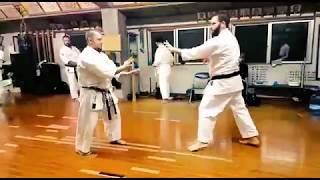 Sanseiryu bunkai kata Uechi ryu karate / Chatan dojo Okinawa city / november 2017