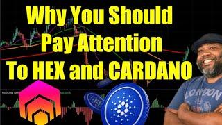 Why You Should Pay Attention To HEX and CARDANO | HEX TA | ADA TA