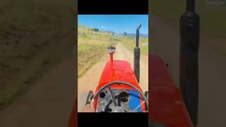 Massey Ferguson 165 tractor is loaded potatoes #tractor #masseyferguson #farming #agriculture