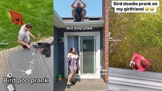 Bird Poop Prank Tiktok Compilation 