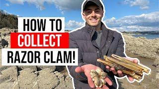 Coastal Foraging - The SECRET to Collecting Razor Clam