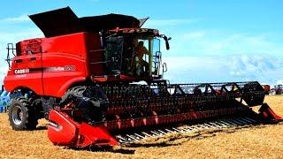 kombajn CASE IH - AXIAL FLOW 8240 Demo Tour 2015 w pszenicy