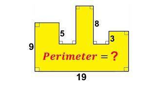 Can you calculate the Perimeter of the Yellow Polygon? | (Perimeter) | #math #maths | #geometry