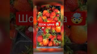  Шок цена на клубнику в Беларуси #новости #беларусь #диктатура #лукашенко #диктатор