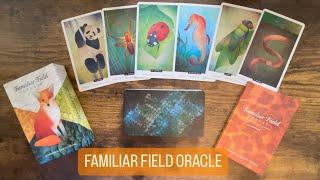 Familiar Field Oracle |⭐️Pre-Release⭐️| Full Flip Through