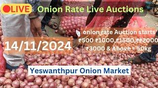 Bangalore,Onion,Market,Price | Yesvantpur Onion Market | 14/11/2024 Live Auction #onion #apmcmarkets