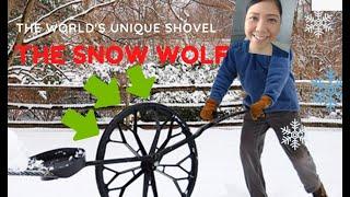 Best  Snow Shovel That Saves Your Back #snowwolf