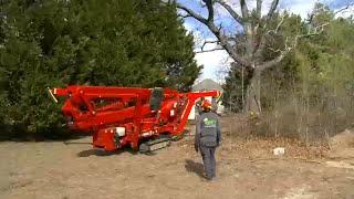 Tree trimming services busy ahead of expected severe weather in central NC