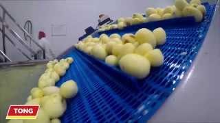 Potato Processing & Peeling Line from Tong Engineering