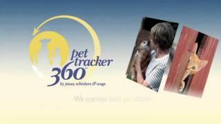Paws Whiskers and Wags - Testimonial