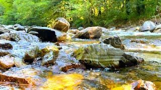 Gentle Sound Of A Mountain River Without Birds. 12 Hours for Sleep, Study and Relaxation.