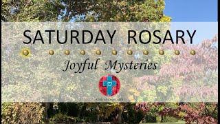 Saturday Rosary • Joyful Mysteries of the Rosary  November 2, 2024 VIRTUAL ROSARY - MEDITATION