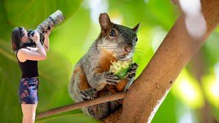 I found tropical squirrels & crawled up to crocodiles  Oaxaca, Mexico