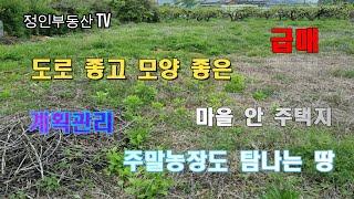 [물건번호 23-04] 도로+땅 모양 다 좋은 마을 안 나대지 급매 #창원부동산 #창원토지 #창원전원주택 #창원촌집 #대산면 #대산면주택지 #대산면주택 #대산면주말농장#정인부동산