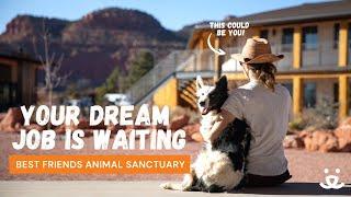 This could be your office | Best Friends Animal Sanctuary