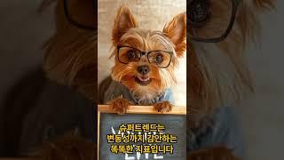 "슈퍼트렌드 - 주식시장의 황소와 곰을 잡는 법!" #shorts #예스트레이더 #슈퍼트렌드