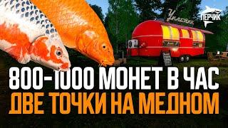 Две точки для ПРИЯТНОГО ФАРМА на Медном озере ● Русская рыбалка 4 ● Перчик РР4