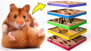 Incrível labirinto DIY de 5 níveis para Hamsters ativos 