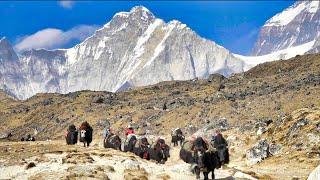 Land of the SHERPAS- Walking under Mount Everest 4K- Mount Everest Base Camp Trek | Full Documentary