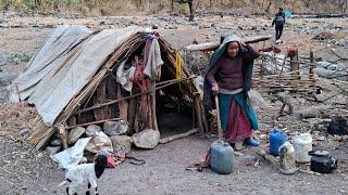 Best Life in Mountain Sheep Shepherd Life || Daily Activities in Winter Season Nepal ||