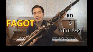 Aprende a tocar FAGOT en solo 5 minutos!