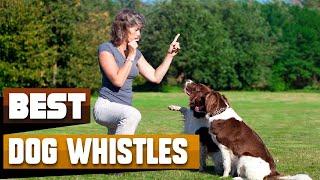 Best Dog Whistle In 2024 - Top 10 Dog Whistles Review