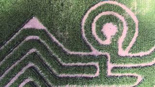 Jacob's Corn Maze, Jacob's Farm - Escape from Egypt