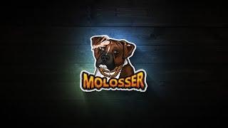 Welcome To Molosser