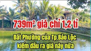Đất Phường của Bảo Lộc | gần 800m² hẻm Phan Đình Phùng giá chỉ 1,2 tỉ