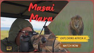 Majestic Masai Mara: An Unforgettable African Safari Adventure Part III