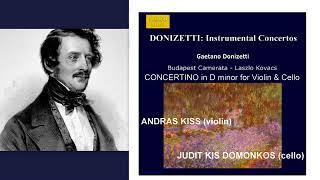 Gaetano Donizetti: Concertino in D minor for violin, cello and orchestra