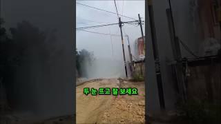 행운을 부르는 엄청난 자연현상
