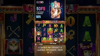 клеокатра покормила на 1.3 лямчика #shorts  #buster #zubaref #casino  #заносынедели