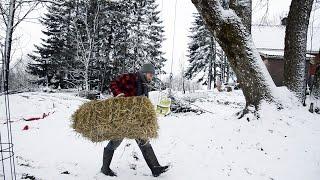 LIFE ON A NORWEGIAN FARM