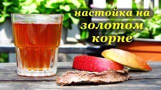 Рецепт настойки на золотом корне (родиола розовая) от Алкофана