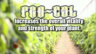 PRO CAL - A Green Planet Product Overview