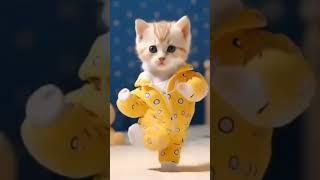 joged kucing tung tin tung tin tang tin tung #animals #viralshorts #fypシ゚viral