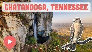 Best Things to Do in Chattanooga, TN