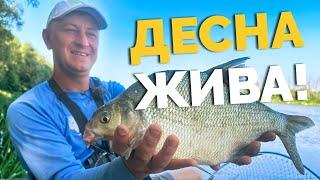 ️Все ЛЕЩИ в НОГАХ️Рыбалка после ракет Десна еще ЖИВА️Как ее сберечь?