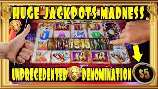 ️Look! Huge Jackpots Madness in High Denom. Buffalo Gold Collection Slot