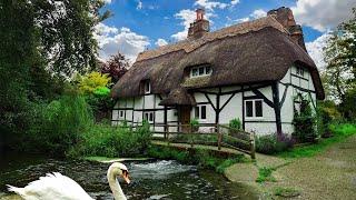 A Beautiful Day in Winchester: England's Best Countryside Village to Live