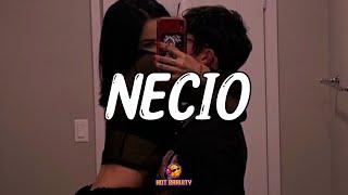 Romeo Santos - Necio (Expert Video Lyrics)