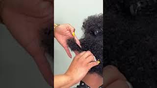 HOW TO CREATE THE PERFECT PIXIE CUT | NATURAL HAIR CUT | FOR CURLS AND COILS | FULL TUTORIAL AVAIL