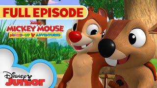 Dale's New Pal | S1 E32 | Full Episode | Mickey Mouse: Mixed-Up Adventures | @disneyjr