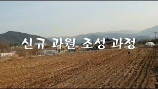 사과 과수원은 어떻게 만들까? 신규 과수원 조성 과정 [유포리꿀사과 유성농원] #귀농과수원 #과수원만들기 #사과밭만들기