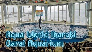 Aqua World Ibaraki Oarai Aquarium