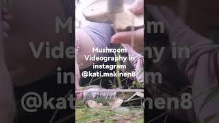 #Howareyou? #Lactariusturpis #Uglymilkcap #Riska #Mustarousku #Mushroomcleaningvideography #Goodwork