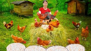Harvesting Chicken (Rooster) and A Lot of Eggs Goes to Countryside Market Sell | Phuong Harvest Life