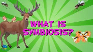 WHAT IS SYMBIOSIS? | Educational Videos for Kids